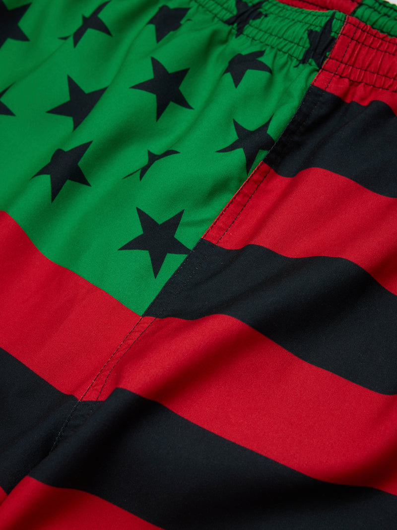 Flag Swim Trunks